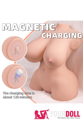 TORSO SEXUAL BELA DELÍRIO ELÉTRICA